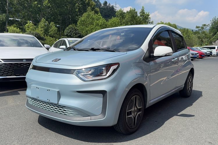 Used SOL E10X 2022 Flower Fairy Design Four-Leaf Clover