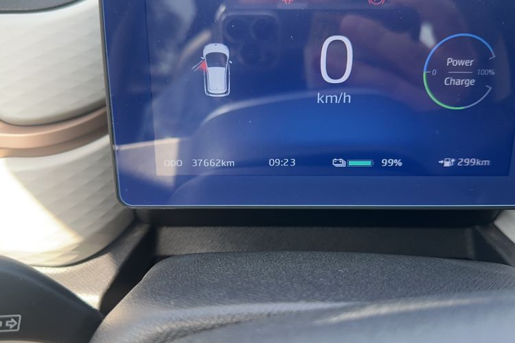 Used SOL E10X 2022 Flower Fairy Style Baby's Breath