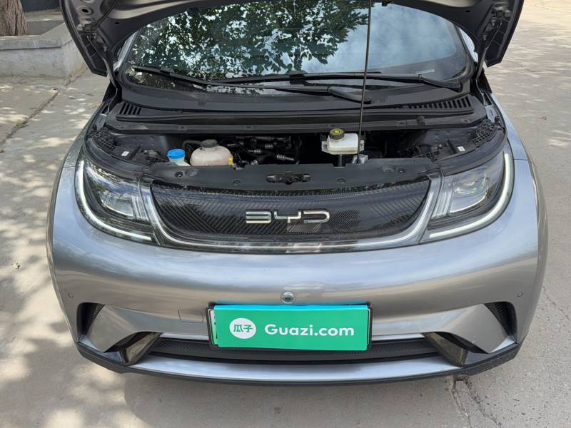 Used BYD Dolphin 2023 420 km Fashion Edition — 20