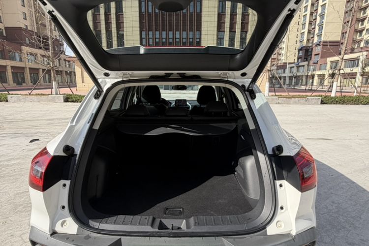 Used BORGWARD BX5 2017 25TGDI Automatic Four-Wheel Drive Smart Enjoyment Model