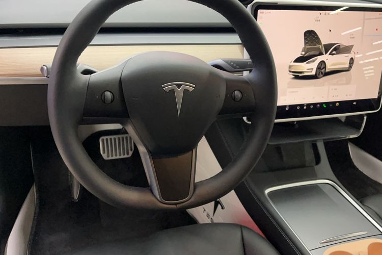 Used Tesla Model 3 2022 Rear-Wheel-Drive Version