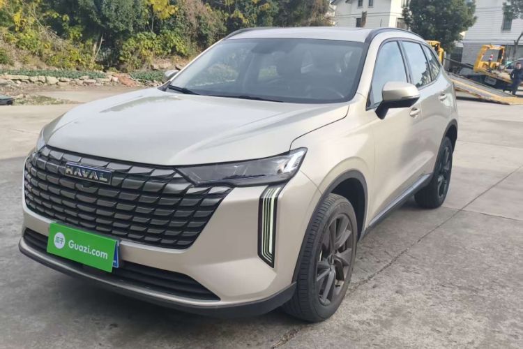 Used Haval H6 2024 1.5T Two-Wheel Drive Pro