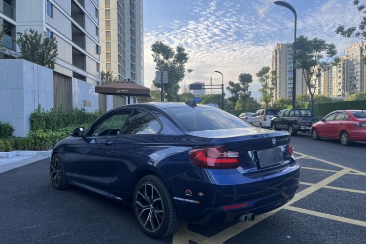 Used BMW 2 Series 2017 220i Leading Model
