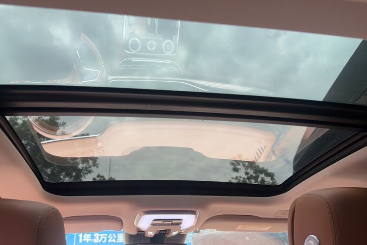 Used Hongqi H9 2020 2.0T Smart Connect Flagship Edition