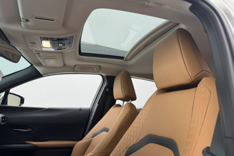 Used Lexus UX New Energy 2020 300e Pure·Enjoy Edition