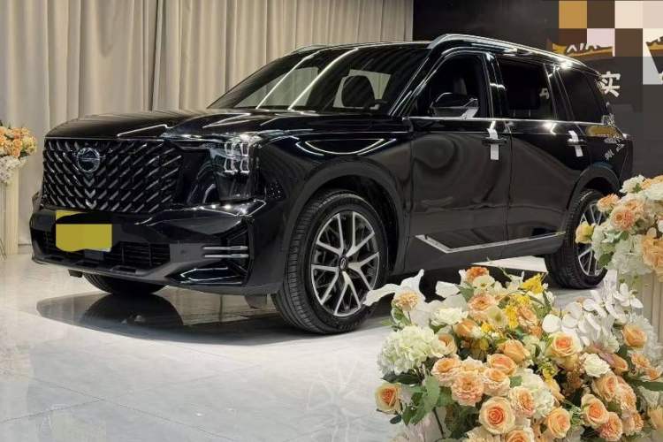 Used GAC Trumpchi GS8 2024 Linghang Series 2.0 TGDI Two-Wheel Drive Luxury Smart Connectivity Version