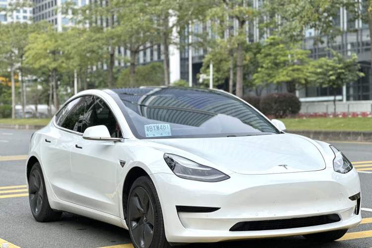 Used Tesla Model 3 (Import) 2019 Standard Range Rear-Wheel Drive Upgraded Version (52 kWh)