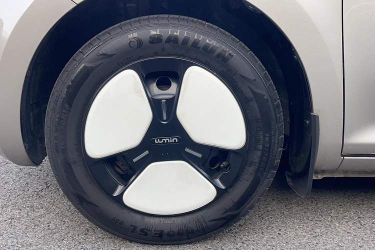 Used Qiyuan Lumin 2023 205km Xiangqin Version
