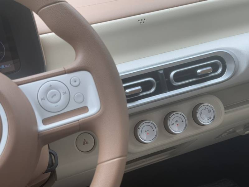 Used Wuling Hongguang MINIEV 2024 3rd Generation 215km Youth Edition — 46