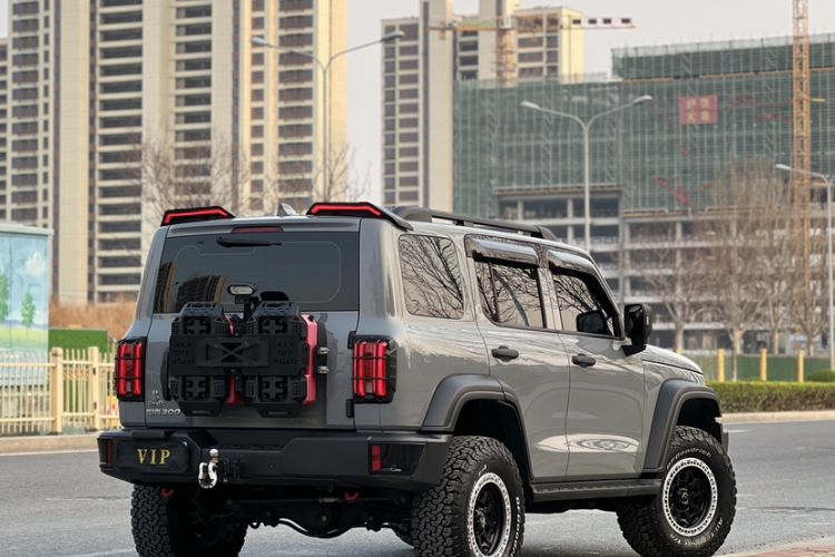 Used Tank 300 2024 2.0T Challenger
