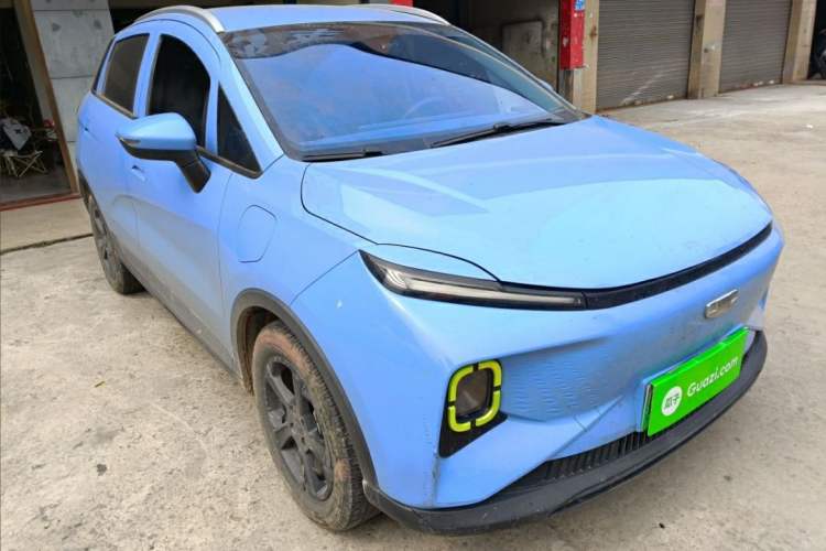 Used Geometry E Firefly 2022 320KM Cute Tiger 4-Seater