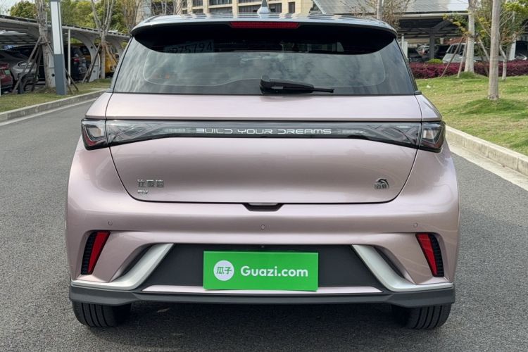 Used BYD Dolphin 2023 401km Knight Edition Rear