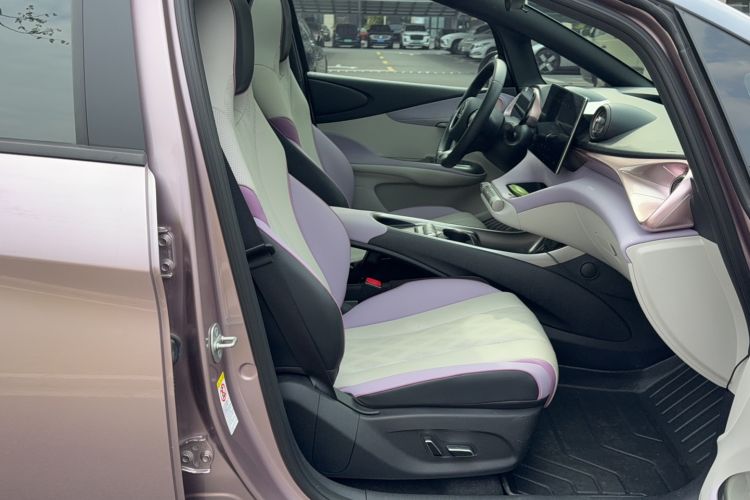 Used BYD Dolphin 2023 401km Knight Edition Right Front Seat