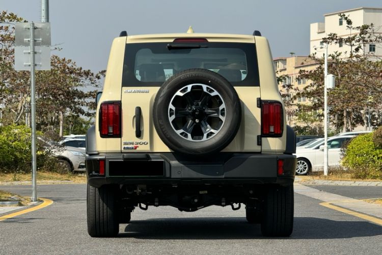 Used Tank 300 New Energy 2024 Hi4-T