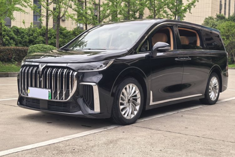 Used VOYAH Dream 2022 Low-Carbon Edition Home