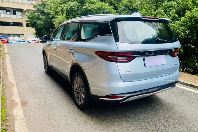 Used Livan Maple 80v PRO 2022 Comfort Edition Standard Range Version
