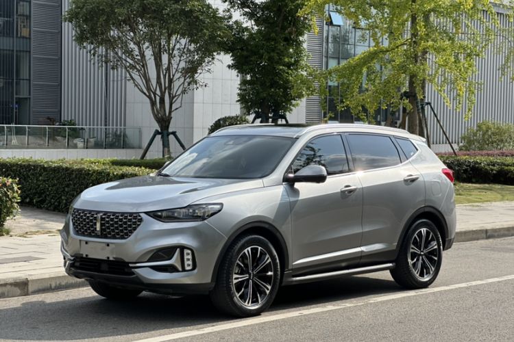 Used Wey VV6 2021 2.0T Two-Wheel Drive Smart Protection+