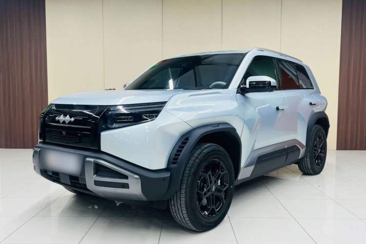 Used Formula Leopard Titanium 3 2025 501 km Range Rear-Wheel Drive Intelligent Driving Max Edition