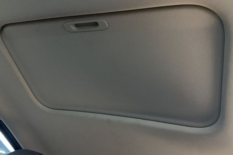 Used Geometry E Firefly 2022 401KM Lightning Tiger 4-Seater