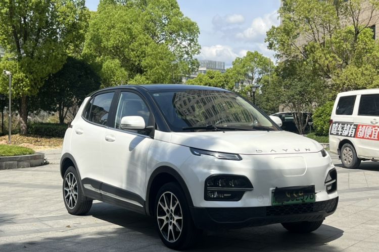 Used Dayun Yuehu 2021 Two-Wheel Drive Standard Version Exterior 2