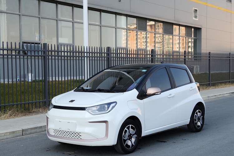 Used SOL E10X 2022 Flower Fairy Style Baby's Breath