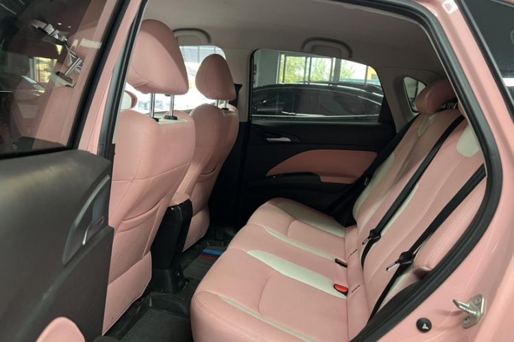 Used NETA V 2021 Witch Edition
