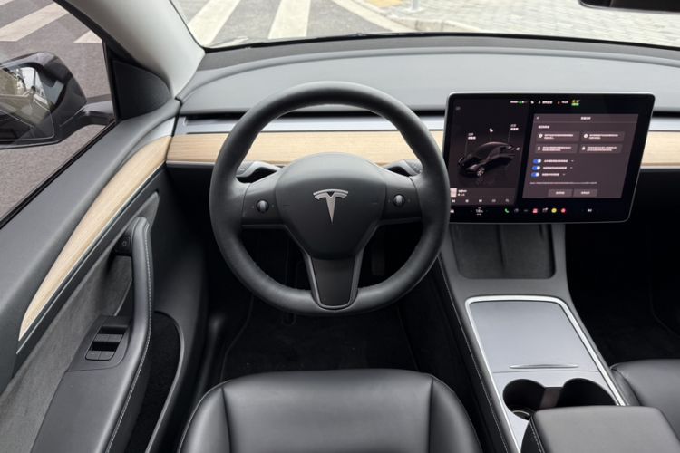 Used Tesla Model Y 2021 Standard Range Rear-Wheel Drive Version
