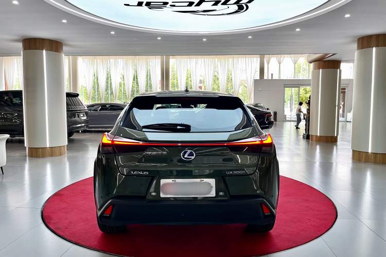 Used Lexus UX New Energy 2020 300e Pure·Joy Edition Exterior 6