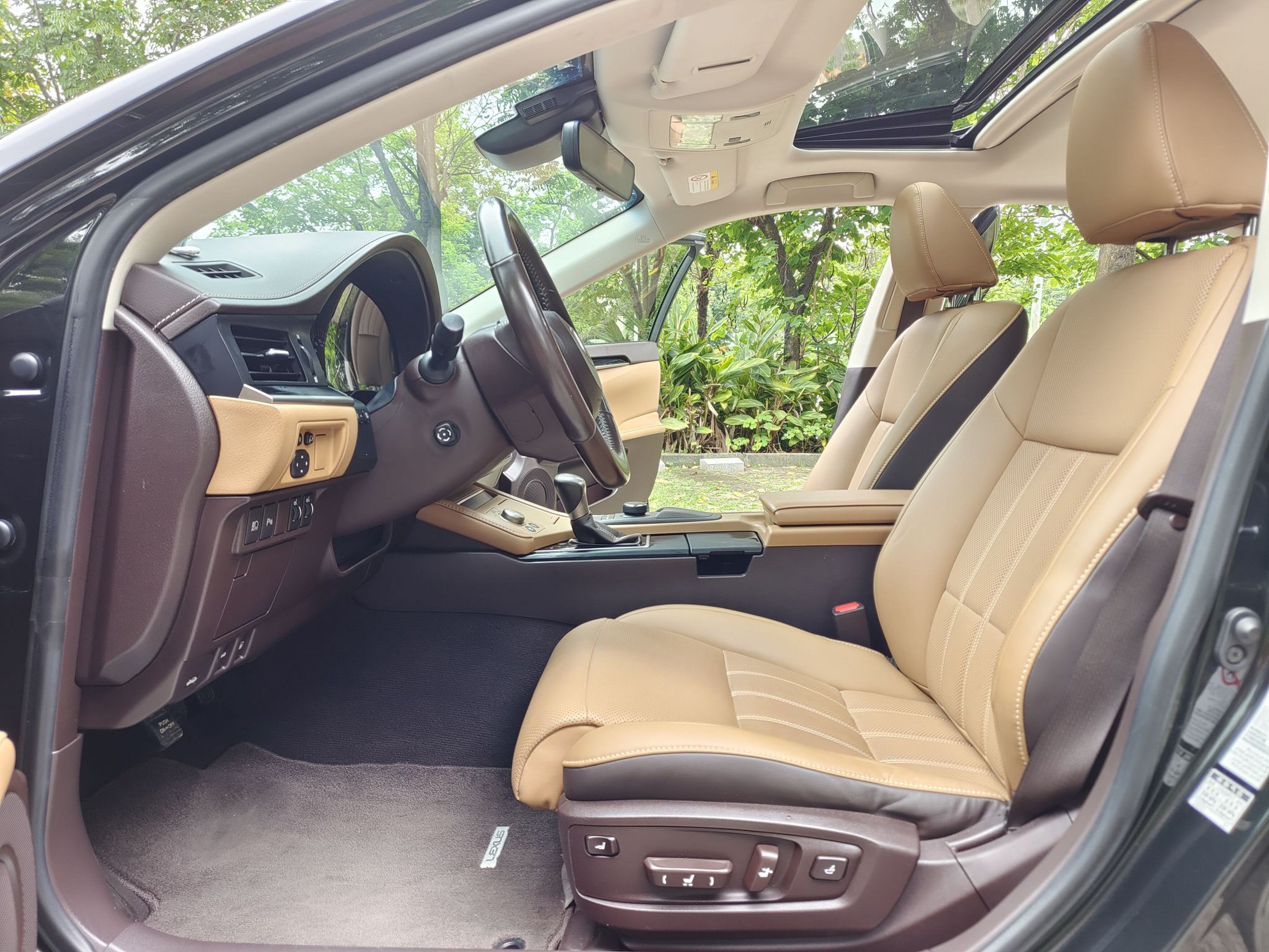 Interior delantero