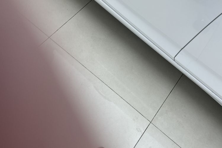 Used Nissan Sylphy 2023 1.6L CVT Enjoyment Edition