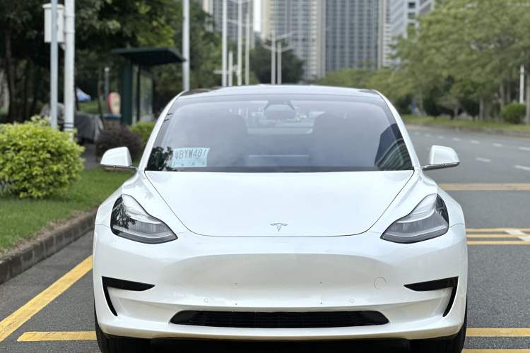 Used Tesla Model 3 (Import) 2019 Standard Range Rear-Wheel Drive Upgraded Version (52 kWh)