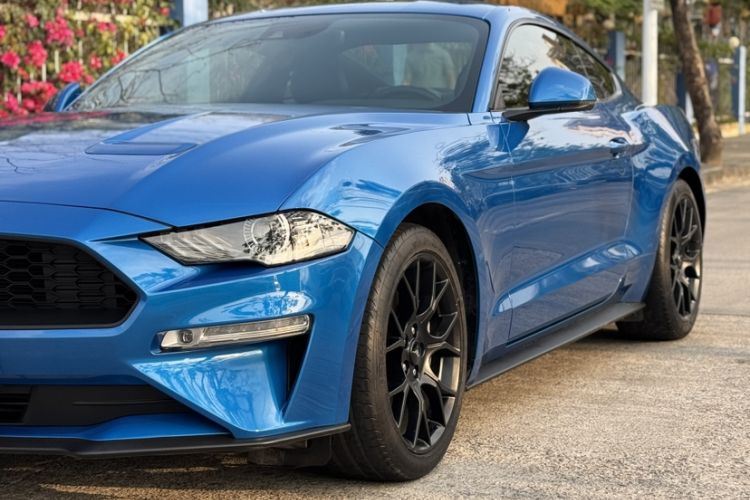Used Ford Mustang 2019 2.3L EcoBoost
