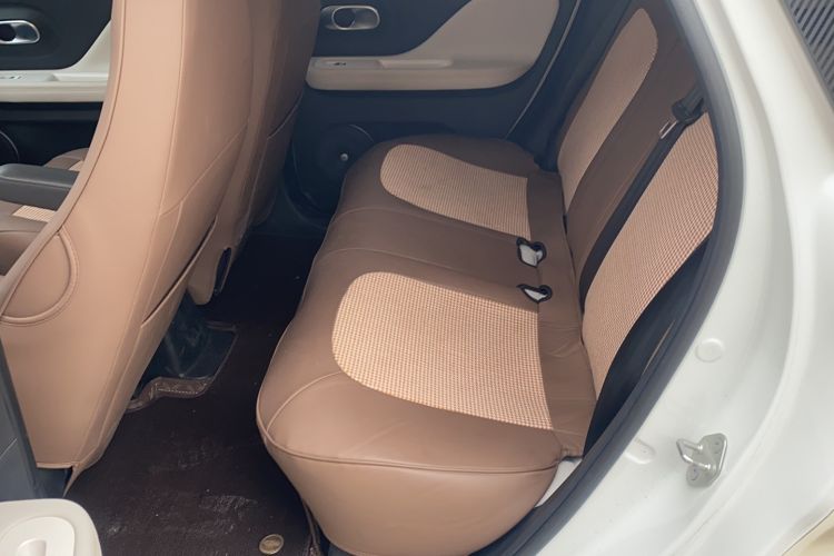 Used Cowin October 2025 Mate 300km Surfing Edition