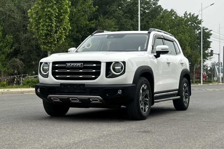 Used Haval DARGO 2021 2.0T DCT 4x4 Chinese Rural Dog Edition