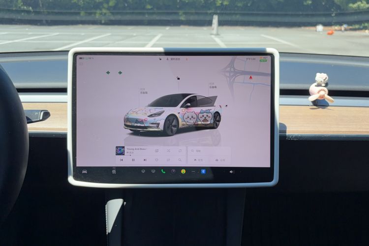 Used Tesla Model 3 2022 Rear-Wheel-Drive Version