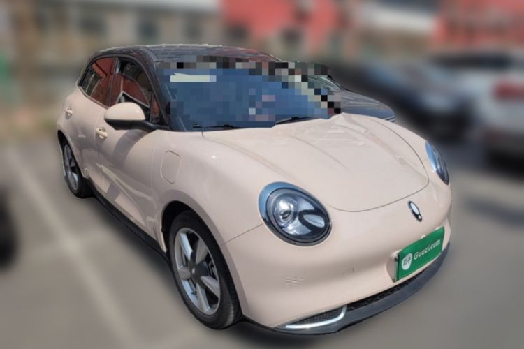 Used ORA Good Cat 2023 401 km Standard Range Luxury Version Lithium Iron Phosphate Exterior 2