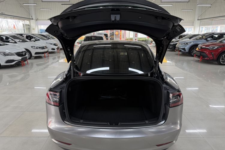 Used Tesla Model 3 2021 Performance High-Performance All-Wheel-Drive Version