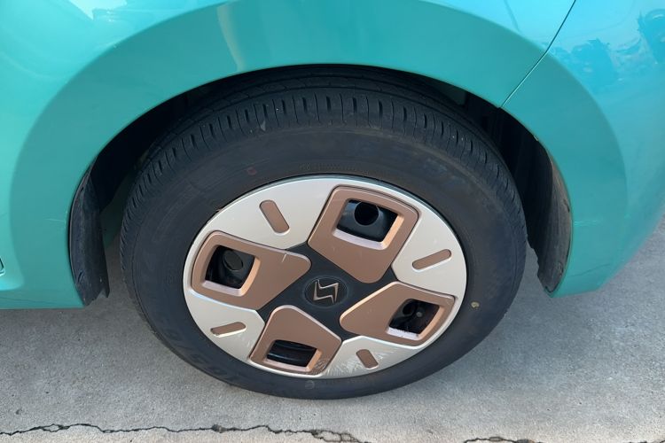 Used SOL E10X 2022 Flower Fairy Design Dandelion
