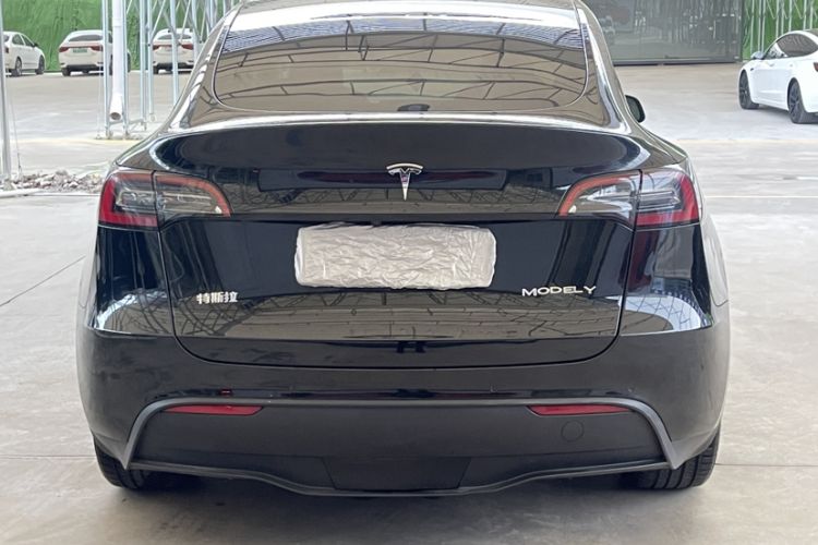 Used Tesla Model Y 2021 Standard Range Rear-Wheel Drive Version
