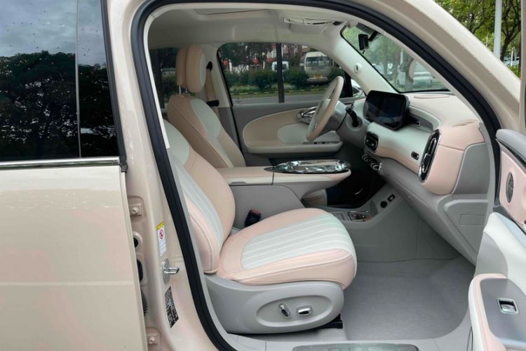 Used ORA Ballet Cat 2022 401 km Nutcracker Edition
