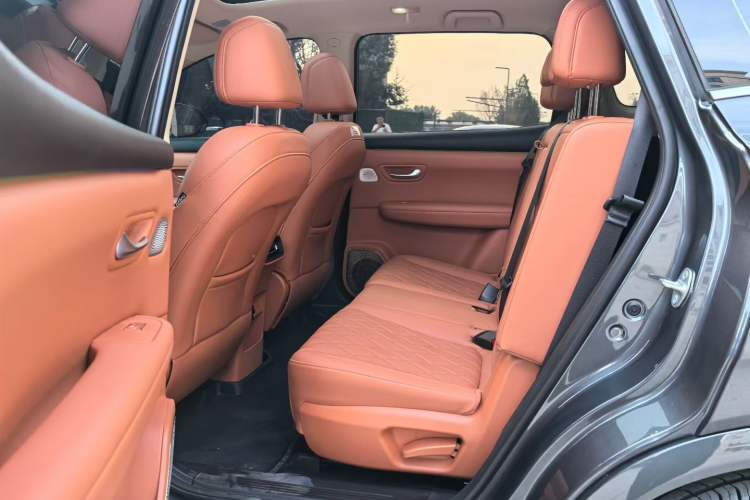 Used Landian E5 PLUS 2026 Model 165km Long-Range First-Adoption Version Ultra 7-seater

