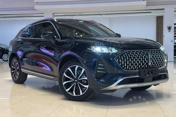 Used Wey Mocha 2021 2.0T Two-Wheel-Drive Premium Edition
