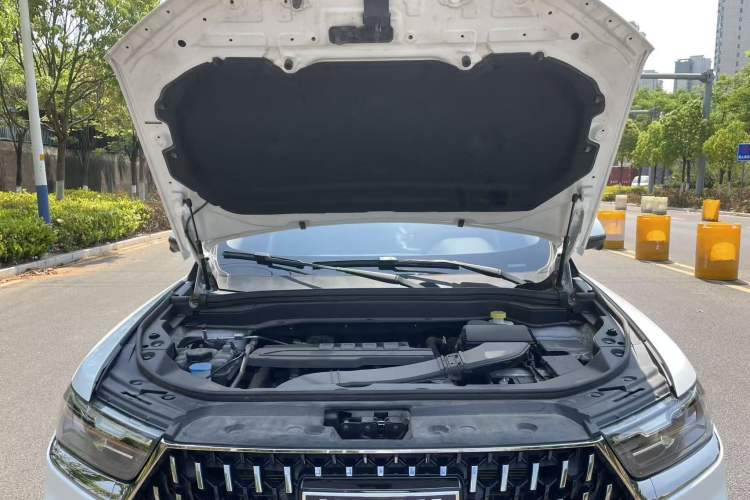 Used Haval H6 2023 National Trend Edition 1.5T Automatic Champion Version
