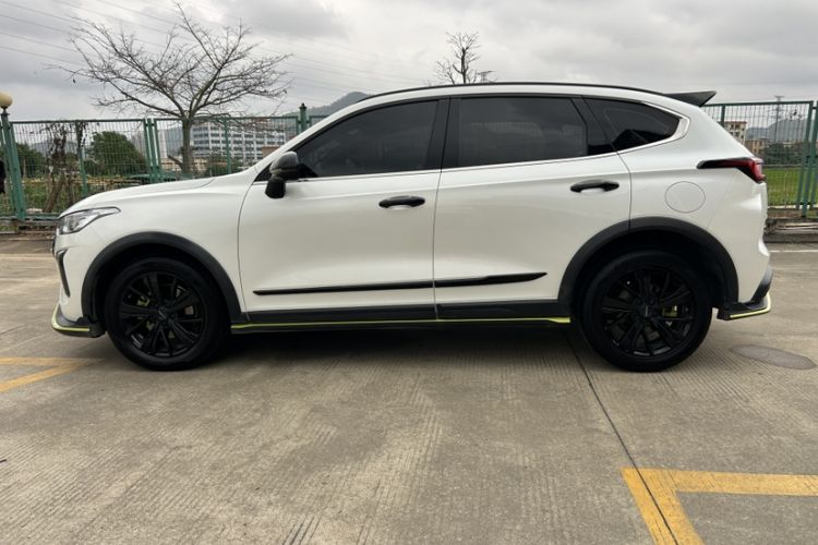 Used Haval LHERY 2021 High-Performance Version 1.5T Golden Rabbit Exterior 8