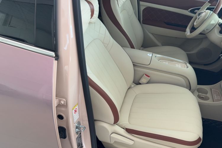 Used ORA Good Cat 2023 401 km Standard Range Luxury Version Lithium Iron Phosphate Right Front Seat