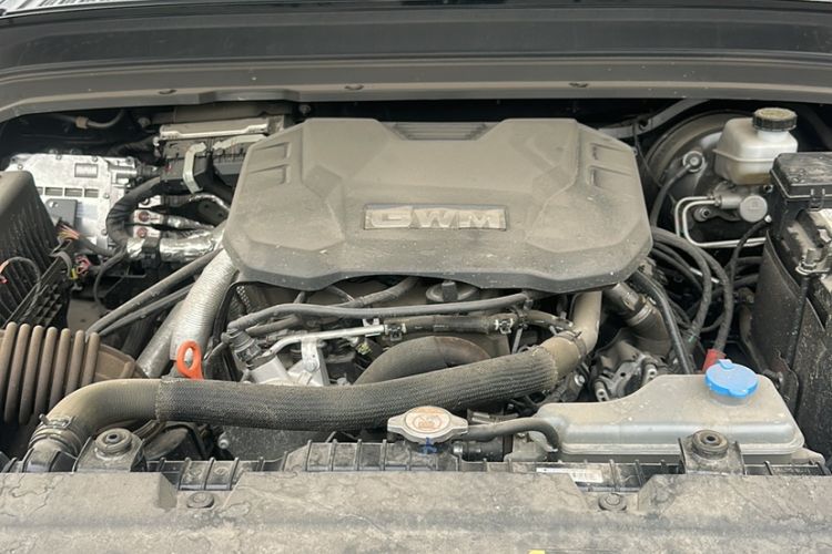 Used Tank 300 2024 2.0T Crosser Exterior 5