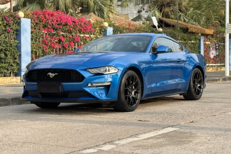 Used Ford Mustang 2019 2.3L EcoBoost
