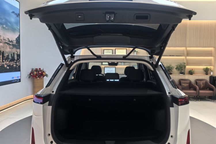 Used Venucia VX6 2023 520 Max