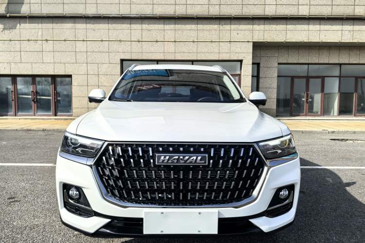 Used Haval H6 2023 National Trend Edition 1.5T Automatic Urban Version Exterior 1