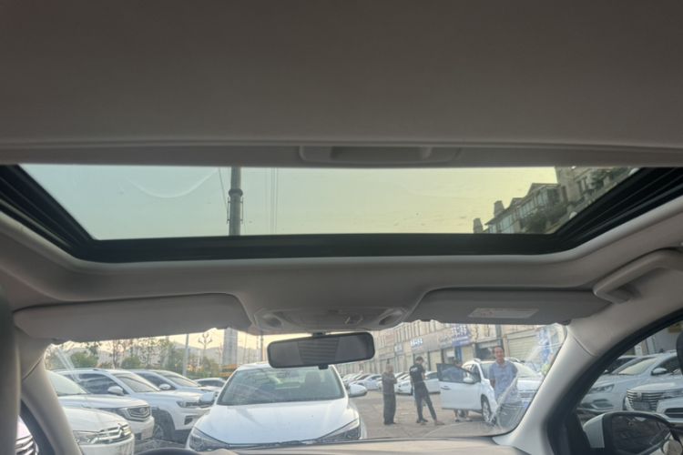 Used Ford Focus 2018 Hatchback Classic 1.6L Automatic Trendy SmartDrive Edition